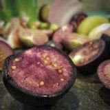 Close-up of Organic Heirloom Purple Tomatillo Rare on a dark surface