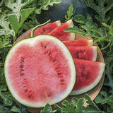 Sliced Organic Heirloom Blacktail Mountain Watermelon on a wooden board with green leaves in the background