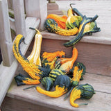 Heirloom Organic Autumn Wings Gourds on a wooden staircase