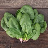 Heirloom Organic Whale Spinach on a wooden surface