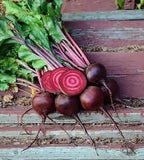 Heirloom Organic Chioggia Guardsmark Beet on a wooden surface