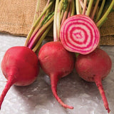 Bunch of Heirloom Organic Chioggia Guardsmark Beet with a sliced beet showing concentric circles on a textured surface.
