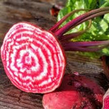 Close-up of sliced Heirloom Organic Chioggia Guardsmark Beet with a wooden background
