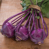 Bunch of Heirloom Organic Azur Star Kohlrabi on a wooden surface