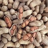 Close-up of Heirloom Organic Raw Spanish Peanuts with shells and unshelled peanuts.