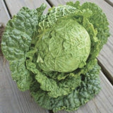 Heirloom Organic Danish Ballhead Cabbage on a wooden surface