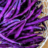 Heirloom Organic Royalty Purple Pod Garden Bean on a woven basket with a wooden background