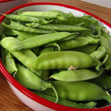 Heirloom Organic Mammoth Melting Snow Pea in a red and white bowl on a wooden surface