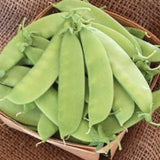 Heirloom Organic Mammoth Melting Snow Pea in a woven basket on a textured brown background
