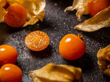 Physalis fruit with husks on a dark surface
