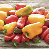 Assorted Heirloom Organic Mix Lunchbox Peppers on a wooden surface