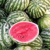 Group of Heirloom Organic Ukraine Astrakhan Watermelons with one sliced open, revealing its red flesh.