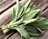 Bunch of fresh Heirloom Organic Sage  Aka Salvia Officinalis Medicinal Herbs, Garden Sage, Smudging, Green Sage, Common Sage on a wooden surface