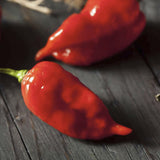 GHOST PEPPER Pepper Seeds (Aka Naga Viper Chili, Snake Pepper, Bhut Jolokia Hot Pepper) on a dark wooden surface