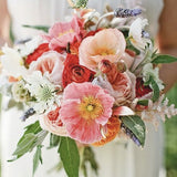 Colorful bouquet of Heirloom Mix Shirley Poppy held by a person with a blurred background