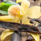 Heirloom Organic Vanilla VineVanilla  planifolia with a yellow orchid in the background