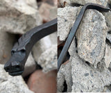 Dragon Fire Poker on a rocky surface