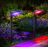 Two solar-powered garden lights emitting purple and red light in a garden setting.