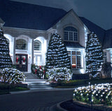 House exterior with Christmas lights on trees and steps at night