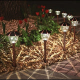 Garden pathway with solar-powered lights and red tulips.