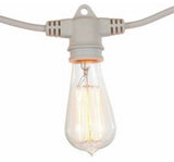 Edison-style light bulb with a white base on a white background