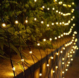 String lights hanging over a fence with greenery in the background