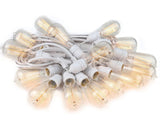 String of light bulbs with clear glass and white cord on a white background