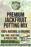 Advertisement for premium jackfruit potting mix with text and plant imagery.