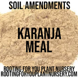 Karanja Cake Karanja Meal Soil Amendment
