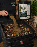 A person in a black shirt pours Kelp Meal from a black scoop into a worm bin. The person holds a large black container of Meme's Worms Kelp Meal.