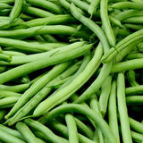 Close-up of green beans BEAN Seeds, Kentucky Blue Pole