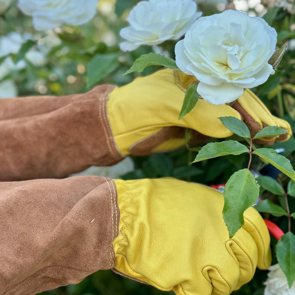 wearing gardening gloves Long Garden Gloves