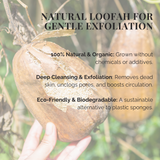 Natural Loofah Sponge