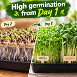 Organic Variety Pack Microgreens Seeds