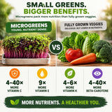 Organic Variety Pack Microgreens Seeds