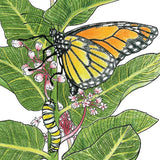 Illustration of a butterfly and caterpillar on green leaves with pink flowers.