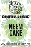 Advertisement for 100% natural and organic neem cake from Rooting for You Plant Nursery with leaf patterns.
