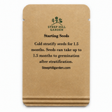 100 New England Aster Seeds (Symphyotrichum novae-angliae), Native Fall Pollinator