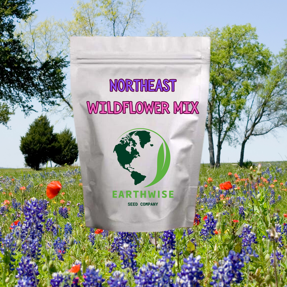 Bag of Northeast Wildflower Mix from Earthwise Seed Company with a background of wildflowers and trees. Northeast Native & Naturalized Wildflower Mix