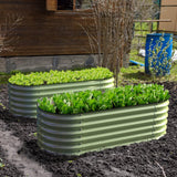 Two raised garden beds with green plants in front of a wooden building.