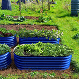 Vegetable garden with blue raised beds filled with green plants on a grassy area.