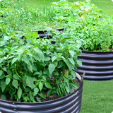 Row of black corrugated planters with green plants on a grassy background