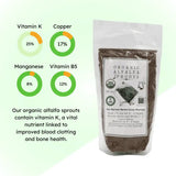 Sprout Spout Alfalfa Starter Kit: Sprout Spout + 4oz or 1lb seeds + Free Sprout Scoop
