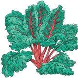 Illustration of Red Ruby Chard Seeds (Organic) with red stems on a white background