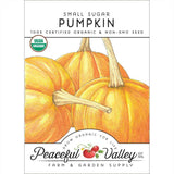 Small Sugar Pumpkin Seeds (Organic)