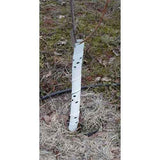 White plastic tree guard with black spots on a tree trunk in a natural setting.