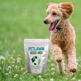 Dog running in a grassy field with a bag of Petlawn Seed Mix in the foreground. PetLawn™ Dog-Friendly Lawn Mix – Durable, Pet-Safe Grass & Clover Blend