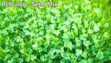 Close-up of clover plants with 'PetLawn - Seed Mix' text at the top. PetLawn™ Dog-Friendly Lawn Mix – Durable, Pet-Safe Grass & Clover Blend