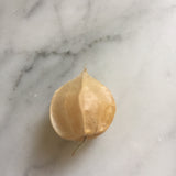 Pineapple Ground Cherry Seeds – Heirloom Husk Cherry, Sweet Tropical Flavor