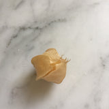 Pineapple Ground Cherry Seeds – Heirloom Husk Cherry, Sweet Tropical Flavor